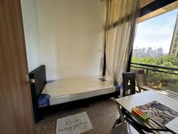 Dover Parkview (D5), Condominium #470419531